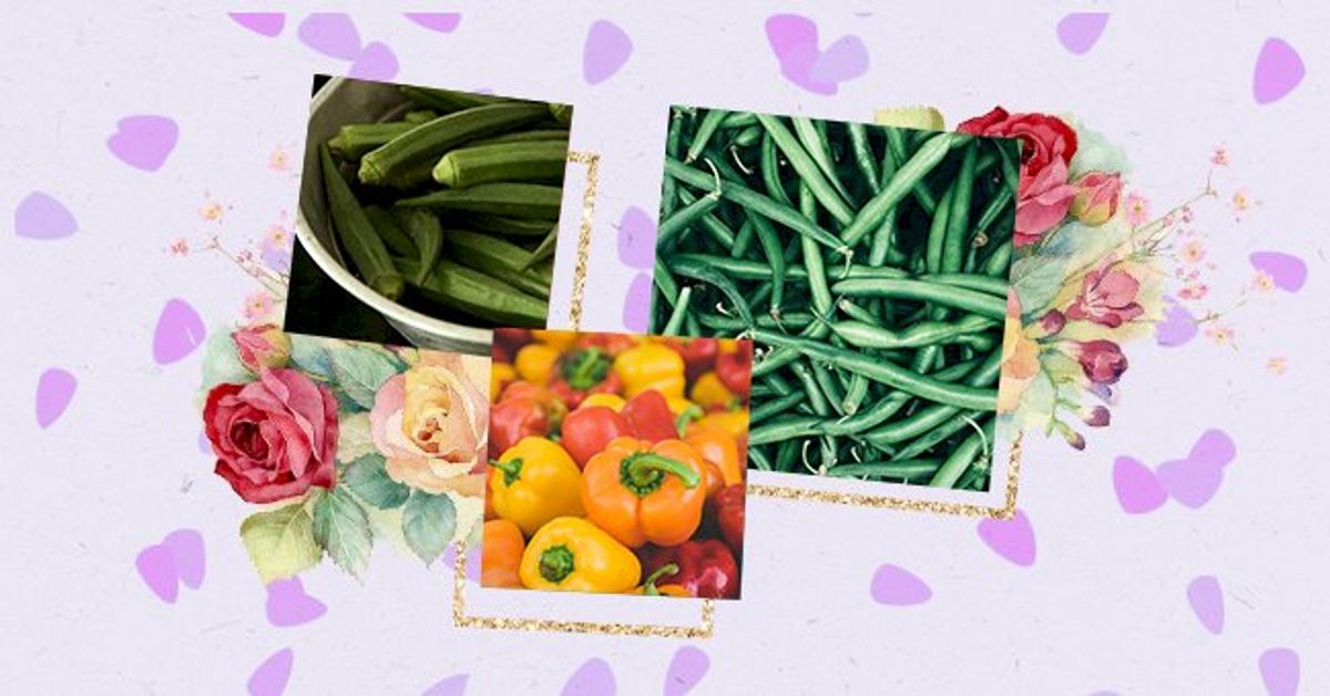 List of vegetables visual data 2